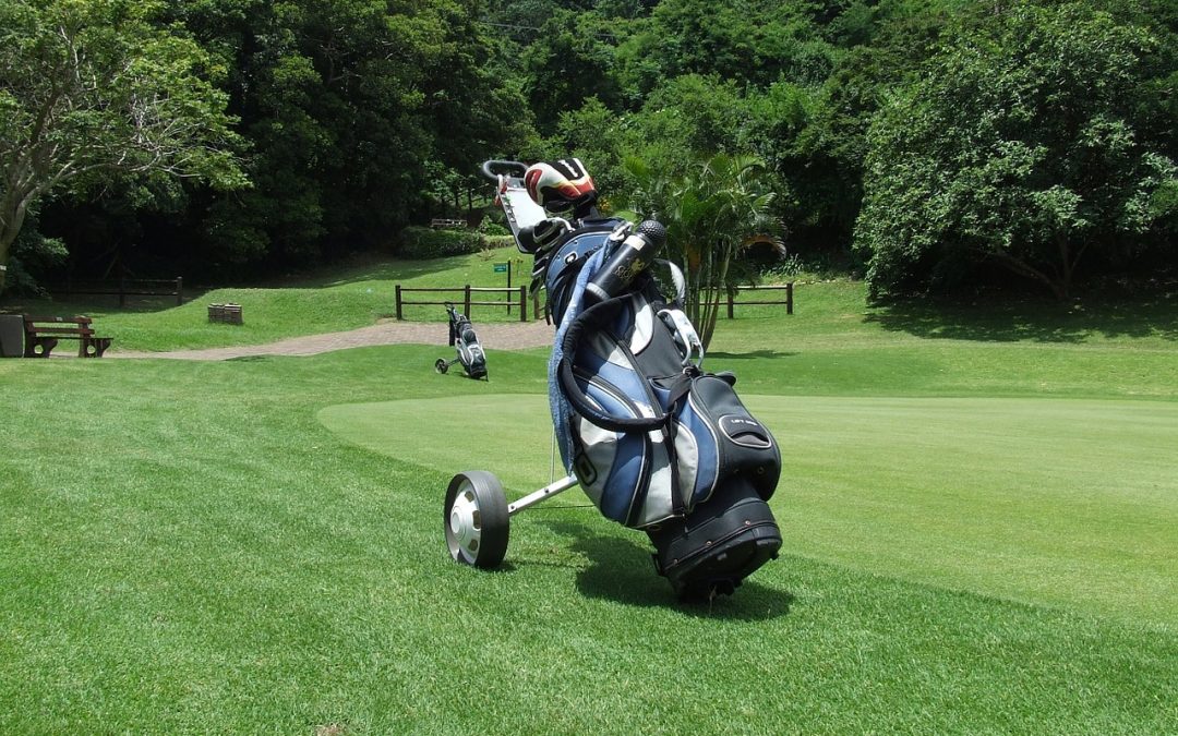 chariot électrique de golf