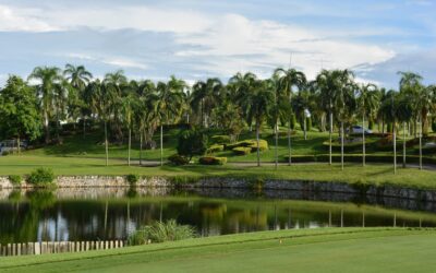 L’univers du golf : retrouvez toute l’actualité en temps réel !